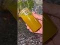 मेरे बाल सर्दियों में नहीं झड़ते इस तेल से, DIY Long Hair Oil, Hair Growth fast 