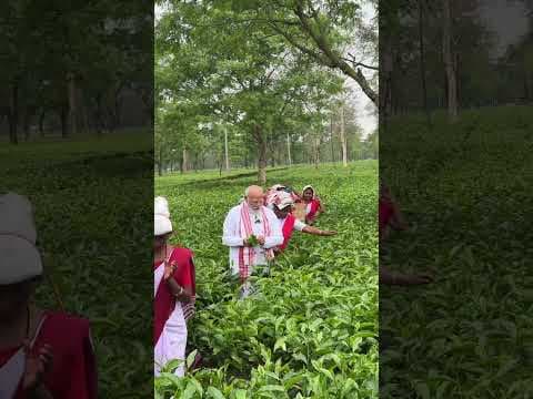 PM Modi visited Dibrugarh, where he met and interacted with the women working in