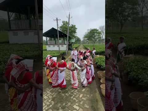 Prime Minister Narendra Modi interacts with women working in the Tea Gardens at 