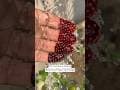 DIY Dark Brown Henna (Mehndi)Color, How To Get Dark Stain Henna, Finger Tip Tric