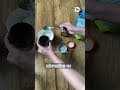 Homemade Hair Mask | Urmila Nimbalkar