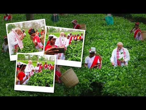 Prime Minister Narendra Modi visited the tea gardens in Dibrugarh, Assam, where 
