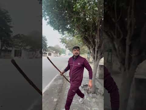 ChatGTP 🤡 #comedy #shortvideo #shorts #funny
