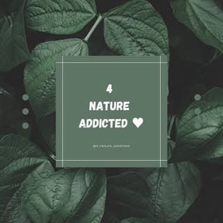 प्रकृति प्रेमी 💚
