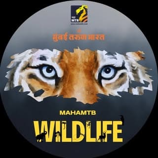 MahaMTB Wildlife